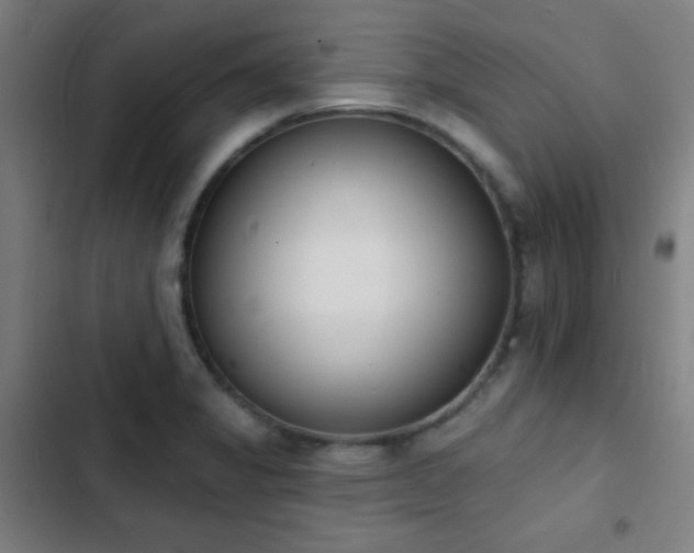 X0000103301325200808291356