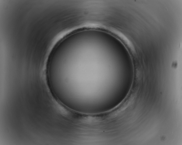 X0000103301327200808291356