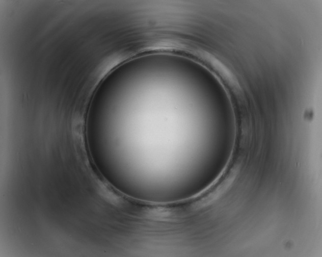 X0000103301329200808291356