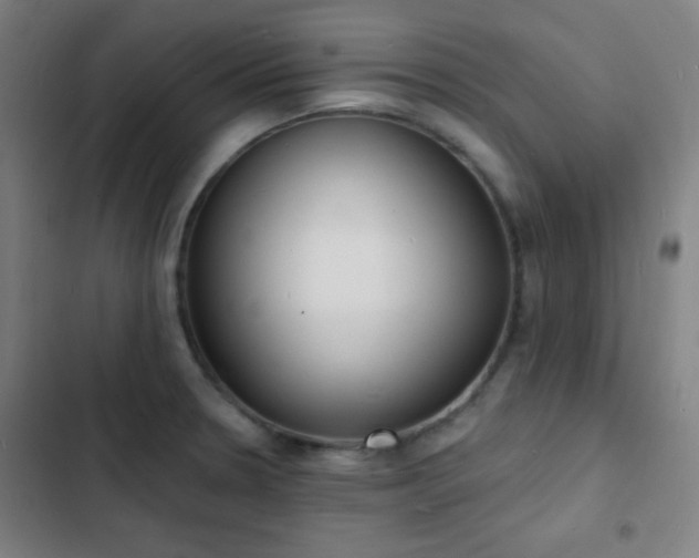 X0000103301330200808291356