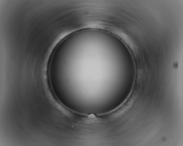 X0000103301331200808291356