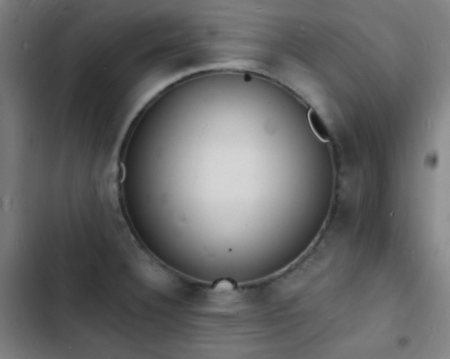 X0000103301332200808291356