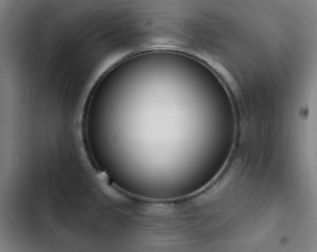 X0000103301333200808291356