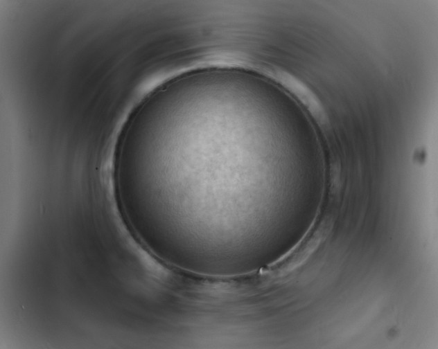 X0000103301334200808291356