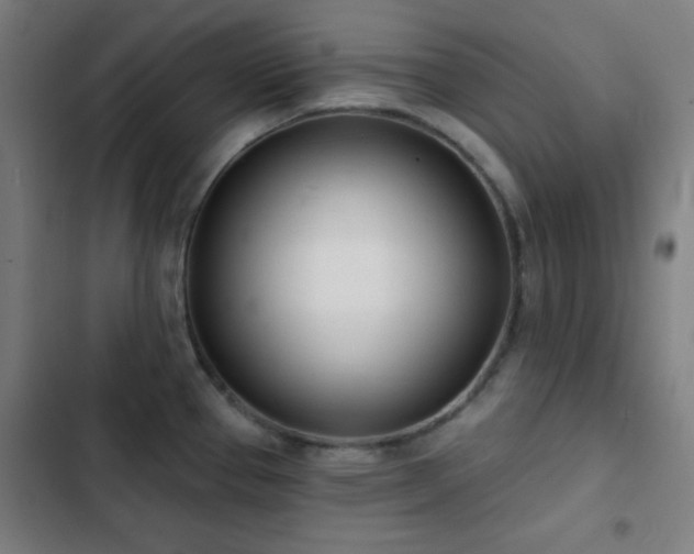 X0000103301337200808291356