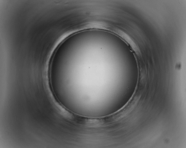 X0000103301339200808291356