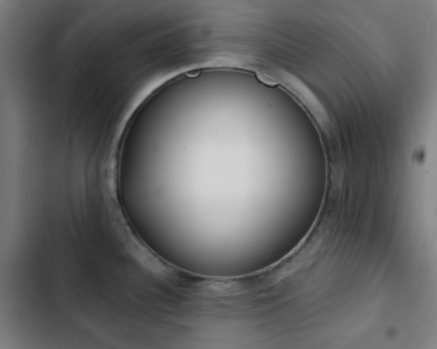 X0000103301340200808291356