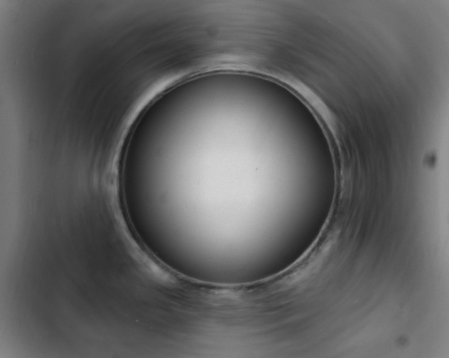 X0000103301341200808291356