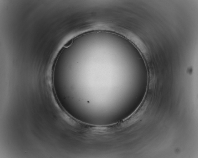 X0000103301342200808291356
