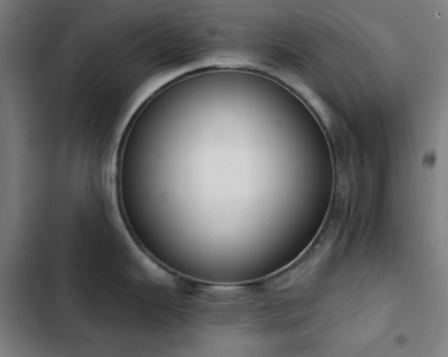 X0000103301343200808291356