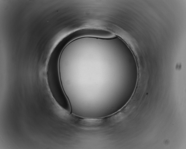 X0000103301344200808291356