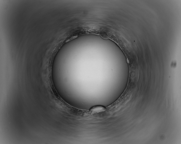 X0000103301345200808291356