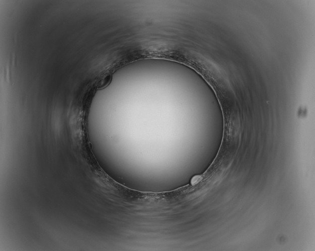 X0000103301346200808291356