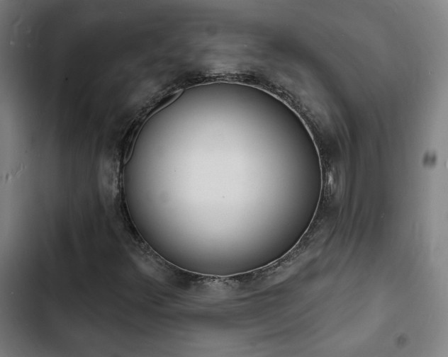 X0000103301348200808291356