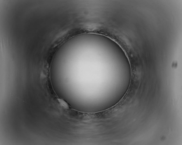 X0000103301349200808291356