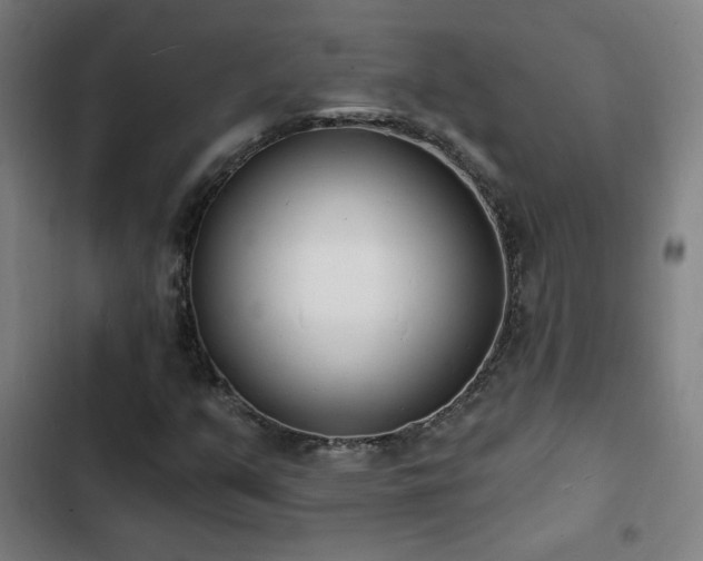 X0000103301351200808291356