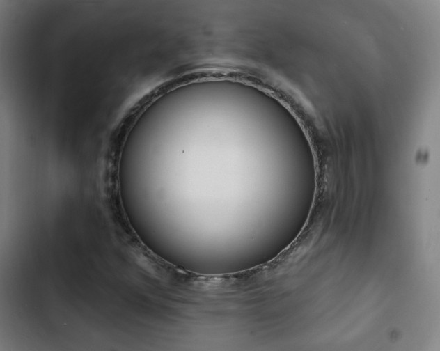 X0000103301352200808291356