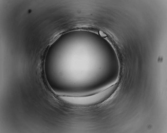 X0000103301353200808291356