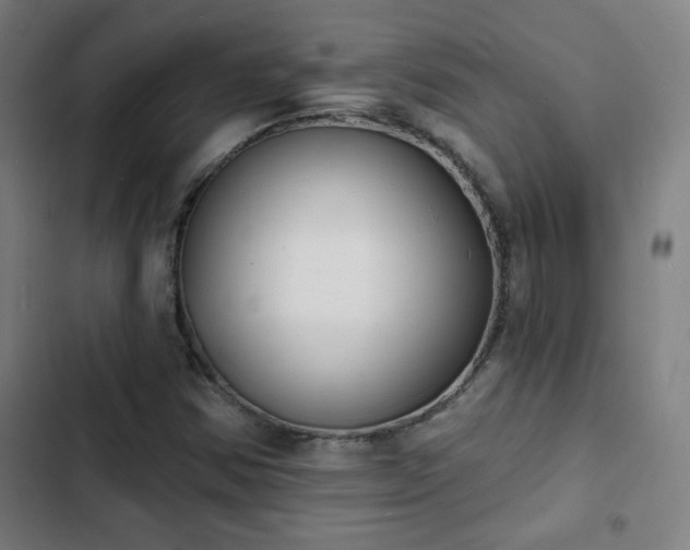 X0000103301354200808291356
