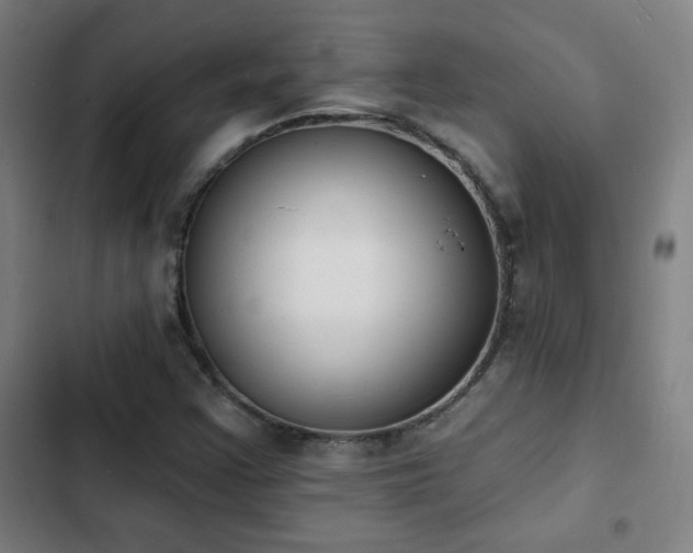 X0000103301355200808291356