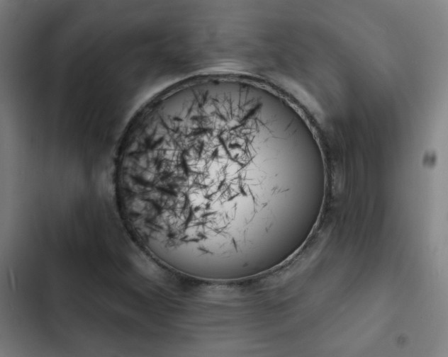 X0000103301356200808291356