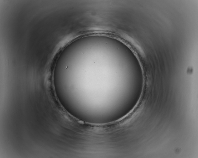 X0000103301357200808291356