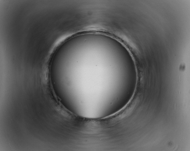 X0000103301358200808291356