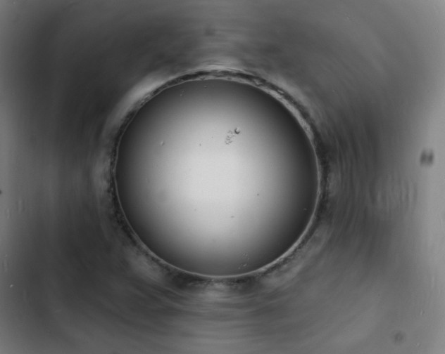 X0000103301359200808291355