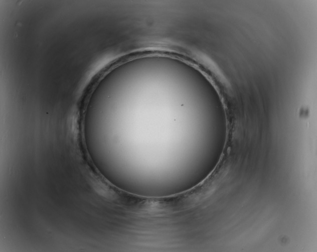 X0000103301360200808291355