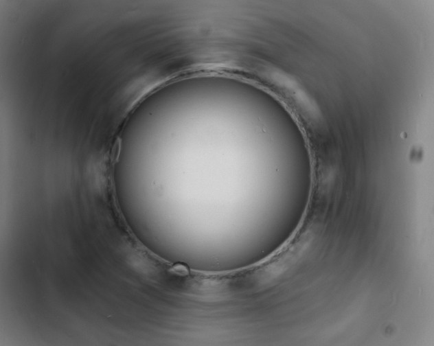 X0000103301361200808291355