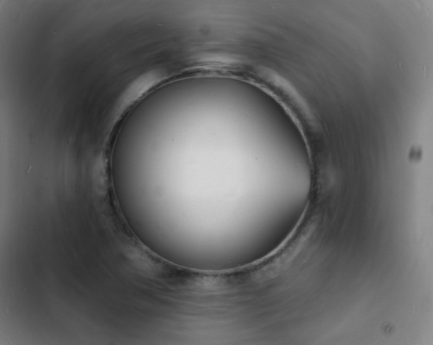 X0000103301362200808291355