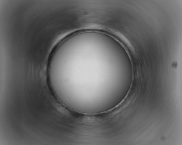 X0000103301364200808291355
