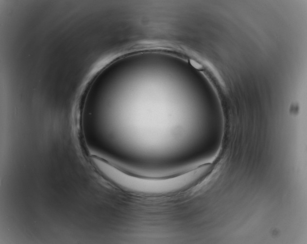 X0000103301365200808291355
