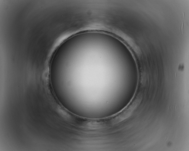 X0000103301366200808291355