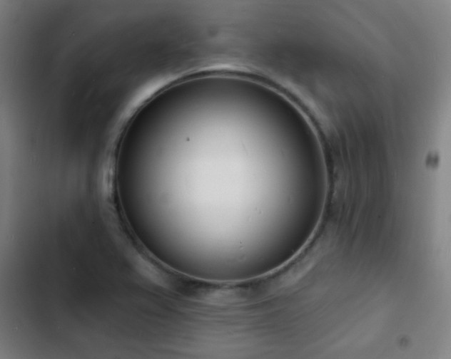 X0000103301367200808291355