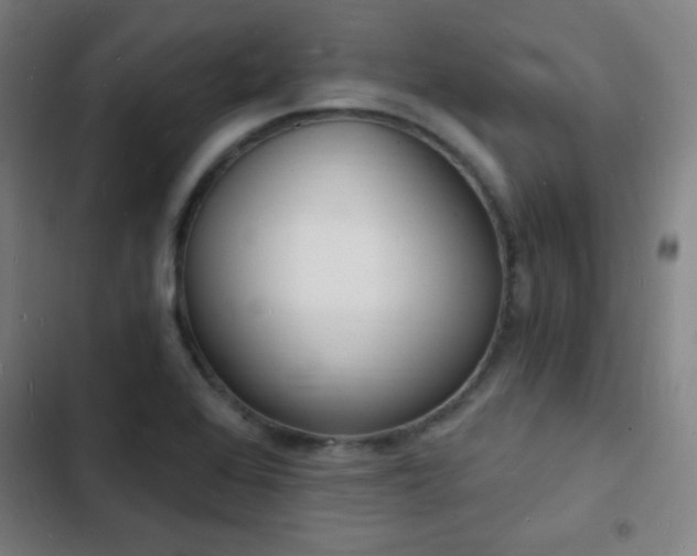 X0000103301368200808291355