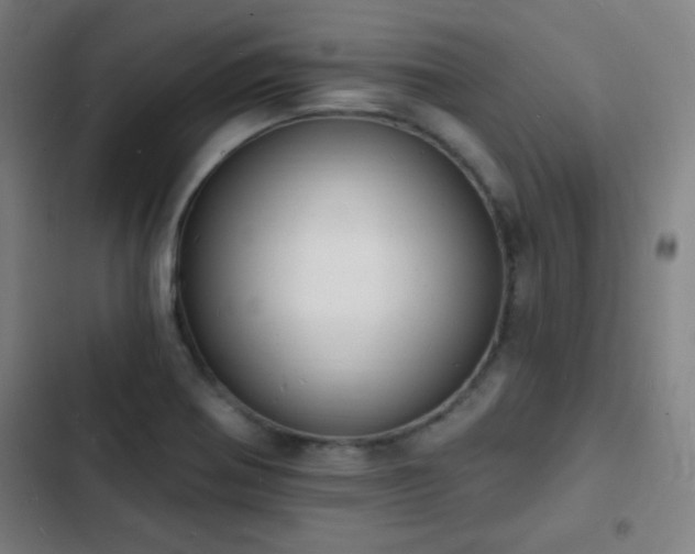 X0000103301370200808291355