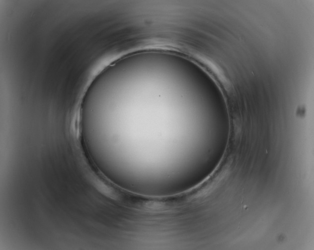 X0000103301371200808291355