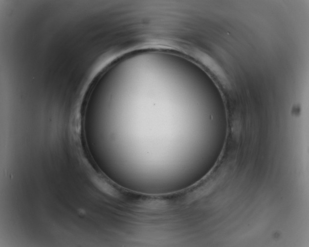 X0000103301372200808291355