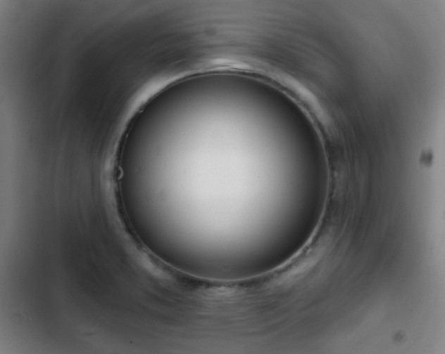 X0000103301373200808291355