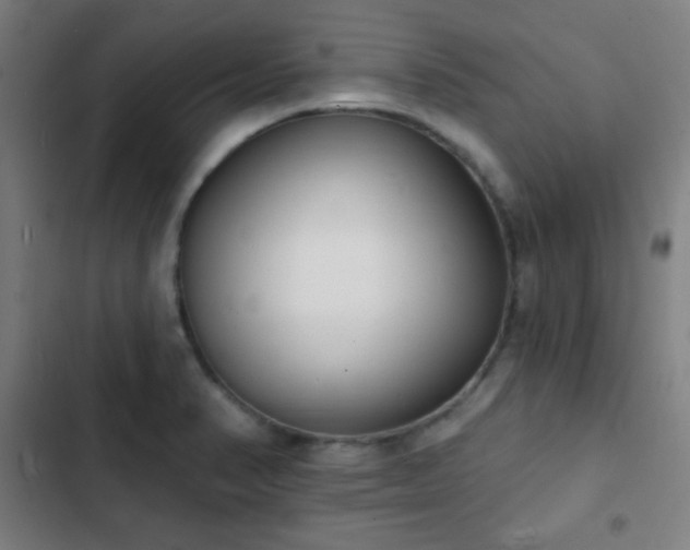 X0000103301374200808291355