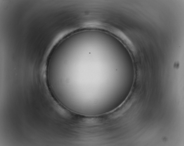 X0000103301376200808291355