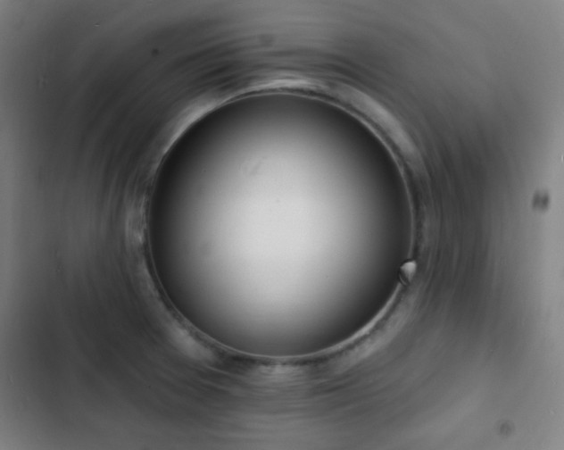 X0000103301377200808291355