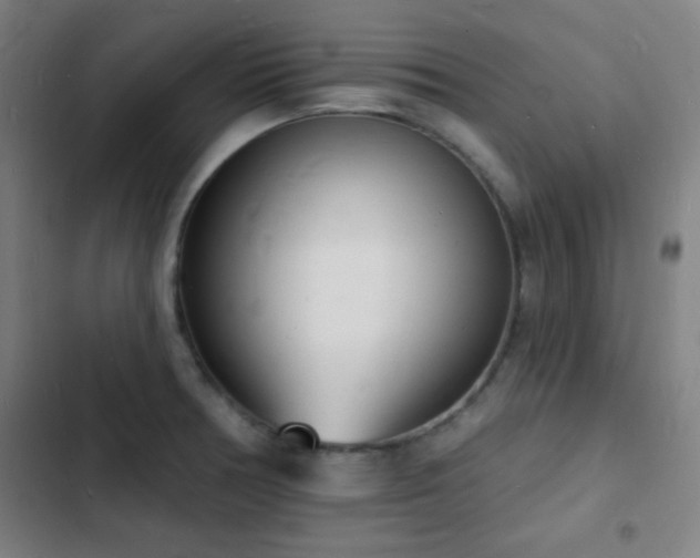 X0000103301378200808291355