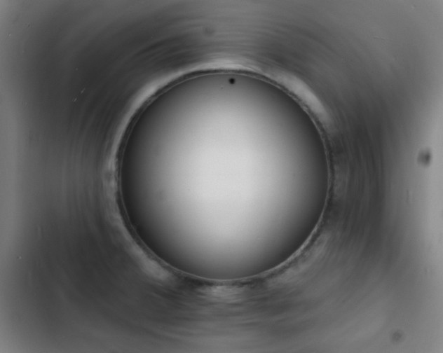 X0000103301380200808291355