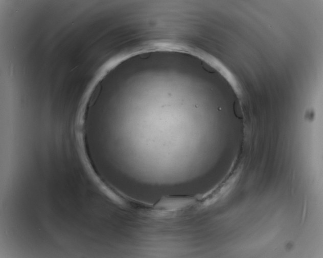 X0000103301381200808291355