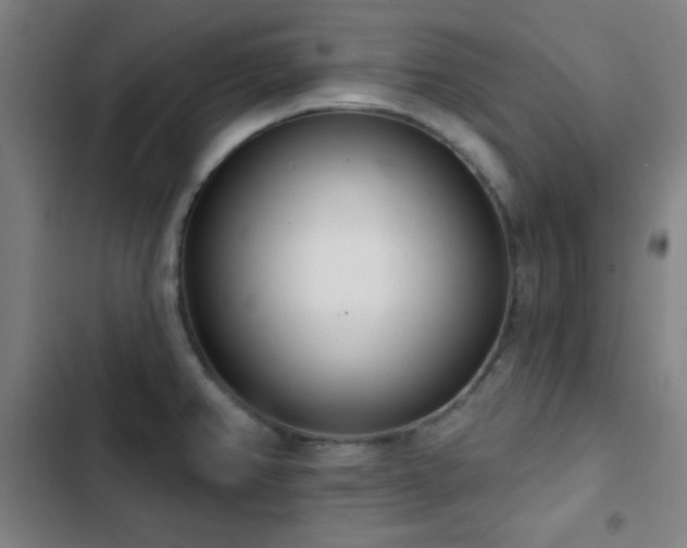 X0000103301382200808291355