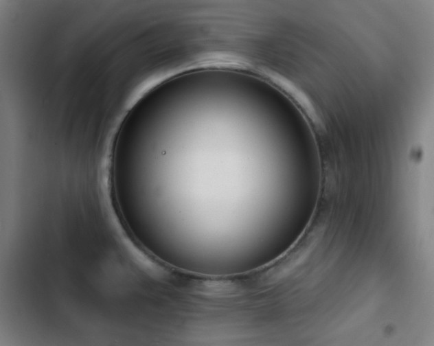 X0000103301383200808291355