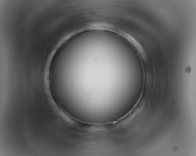 X0000103301384200808291355