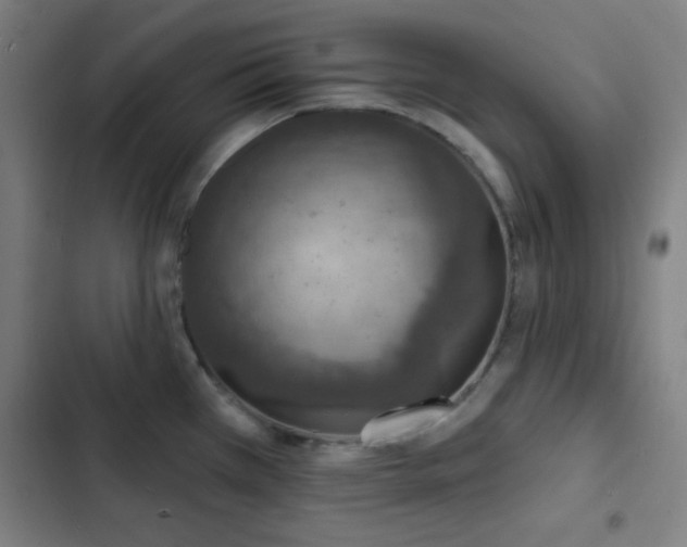 X0000103301385200808291355
